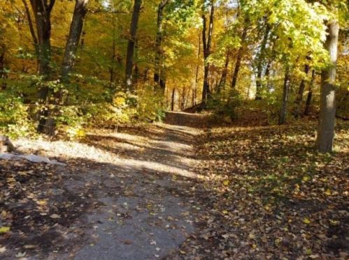 7991 Braddock Ave, Monticello MN  55362-3131 exterior