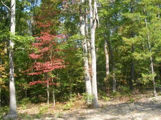 3465 Knob Forest Cir, Elliston, VA 24087