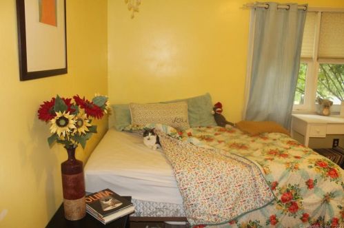 84 Columbine Dr, Bridgeport CT  06611-4601 exterior