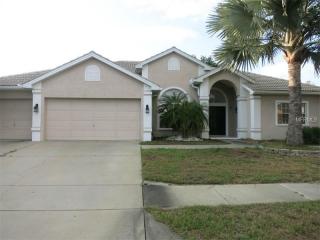 9020 Callaway Dr, New Port Richey, FL 34655-4611