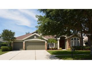 5313 Pagnotta Pl, Lutz, FL 33558-8046