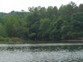 35 Windsor Dr, Liledown, NC 28681-6918