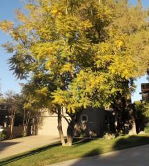7622 Pleasant Run, Scottsdale, AZ 85258-3116