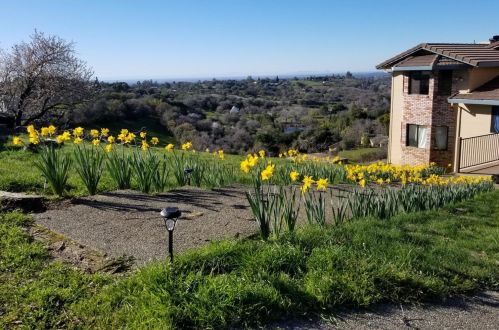 8855 Ridge Rd, Newcastle, CA 95658-8800