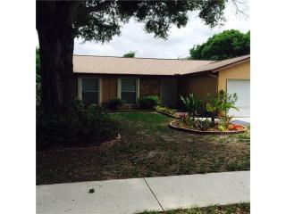 1411 Rustling Oaks Dr, Brandon, FL 33510-2360