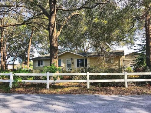 6535 158th Ct, Ocklawaha, FL 32179-2990