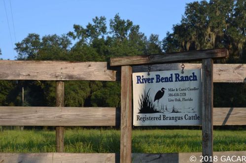 22991 96th St, Dowling Park, FL 32060-0525