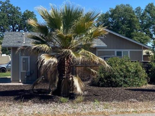 19659 Mountain Mdw, Middletown CA  95467-8543 exterior