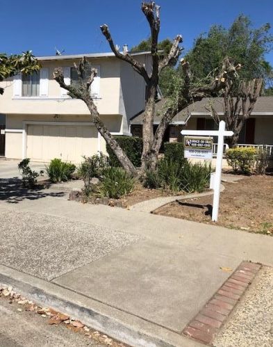211 Castillon Way, San Jose, CA 95119-1504
