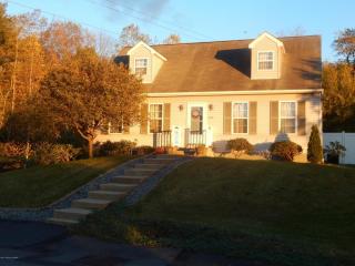 337 Terrace Ave, Wilkes Barre, PA 18708-1949