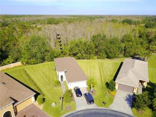 1867 Pelican Hill Way, Kissimmee, FL 34759-6202