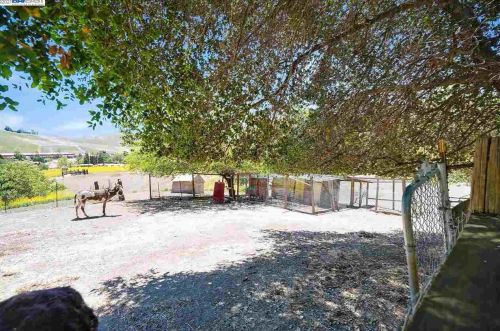 6901 Johnston Rd, Pleasanton CA  94588-9460 exterior