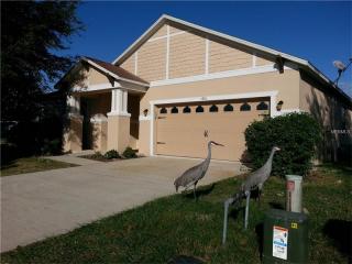 3901 Golden Finch Way, Kissimmee FL  34746-2006 exterior