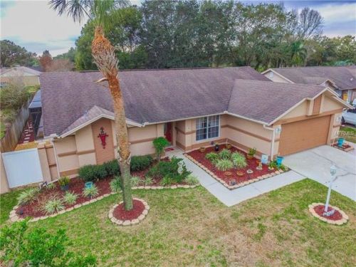 12215 Wildbrook Dr, Riverview, FL 33569-4111