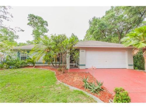 8280 161st Pl, Summerfield, FL 34491-5435