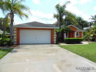 4502 Van Ness Rd, Hernando, FL 34442-4466