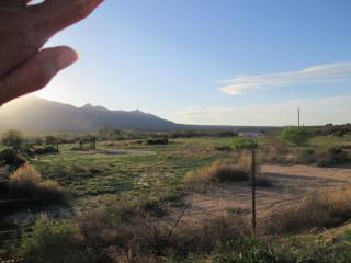 10394 Rector Ln, Safford, AZ 85546-7810