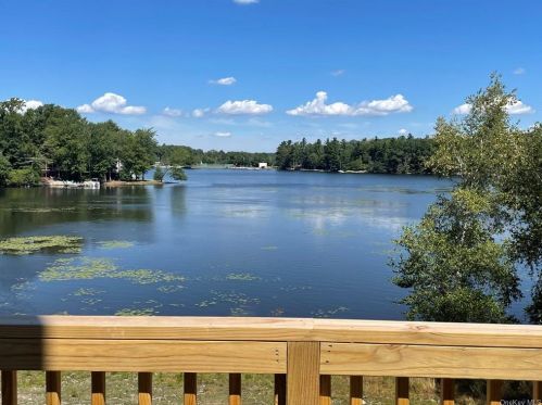 163 Lake Shore Dr, Rock Hill, NY 12775-6523