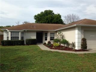 419 Carriage Crossing Cir, Brandon, FL 33510-2178