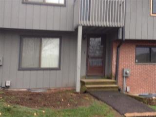 48 Hitching Post Ln, Glastonbury CT  06033-3311 exterior