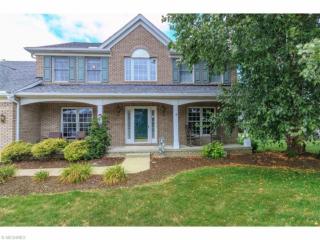 9906 Parkland Dr, Twinsburg, OH 44087-3314