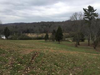 12217 Pittman Dr, Knoxville, TN 37932-2216