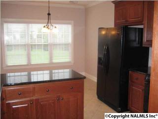 324 Stoneham Way, Madison AL  35756-6411 exterior