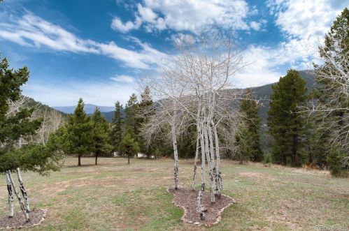 11639 Broken Arrow Dr, Conifer CO  80433-6920 exterior