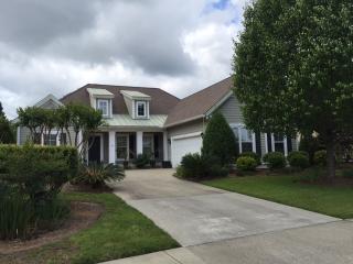 63 Glencairn Ave, Bluffton SC  29910-7878 exterior