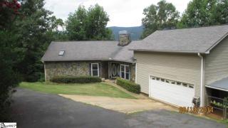 20 Durango Pl, Cleveland SC  29635-9336 exterior