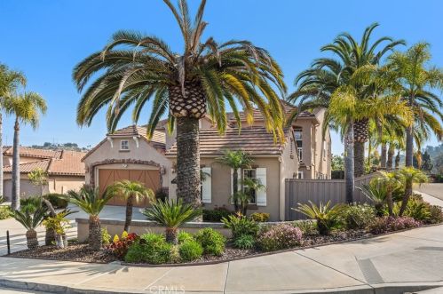 6468 Paseo Cerro, Carlsbad CA  92009-1904 exterior