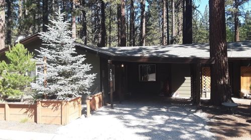3625 Spruce Ave, South Lake Tahoe, CA 96150-8368