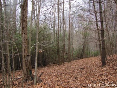 3 Carson Rd, Grassy Creek, NC 28631