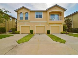 8908 Moonlit Meadows Loop, Riverview, FL 33578-8850