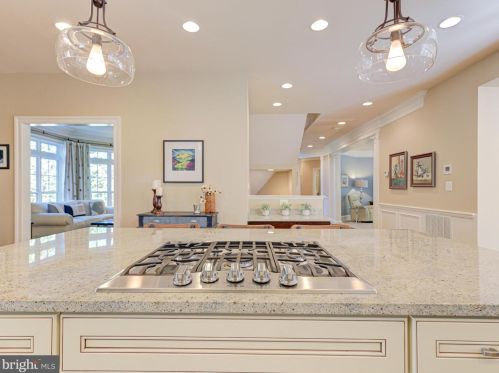 20500 Stone Fox Ct, Leesburg VA 20175-7223 exterior