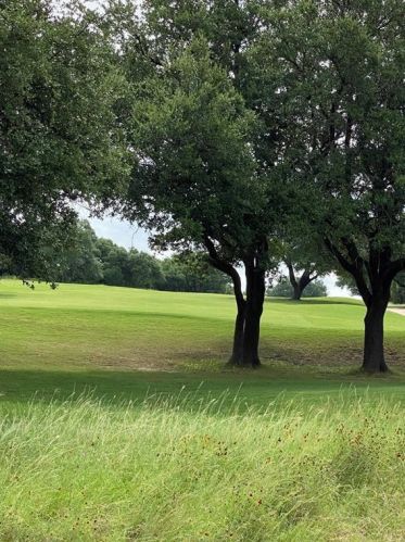 714 Armstrong Dr, Georgetown TX  78633-5186 exterior