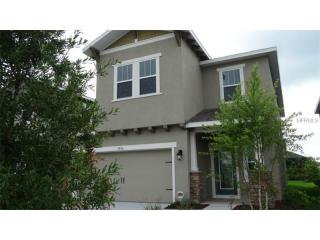 5934 Caldera Ridge Dr, Lithia, FL 33547-4106