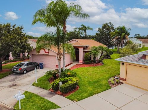 11610 Weaver Park Ct, New Port Richey, FL 34655-7138