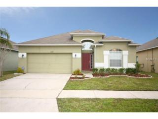 13187 Looking Glass Falls Ln, Orlando, FL 32824-4349
