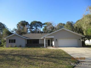 20 Wild Olive Ct, Homosassa, FL 34446-4538