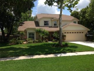 10144 Tarragon Dr, Riverview, FL 33569-4155