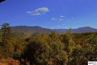 820 Skyline Dr, Gatlinburg, TN 37738-4242