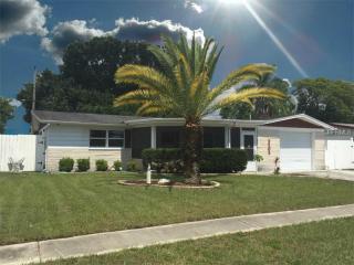 2202 Maureen Dr, Tarpon Springs, FL 34690-4129