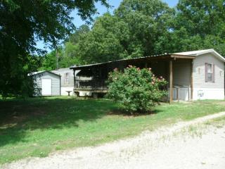 3310 Sand Mountain Rd, Enville, TN 38332-1761