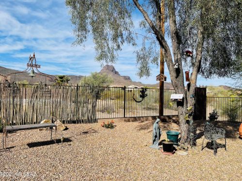 7997 Gillespie Ln, Tucson, AZ 85743-7333