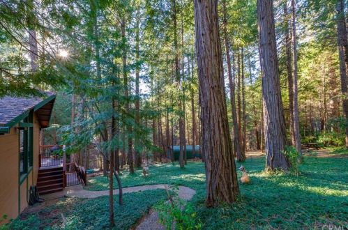 14501 Grinnell Ct, Nimshew CA  95954-9648 exterior