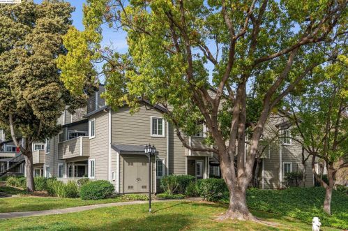 495 Canyon Oaks Dr, Oakland CA  94605-3847 exterior