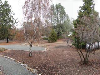 21117 Hemlock St, Groveland, CA 95321-9384