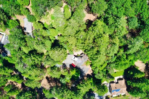 5043 Virginia Bird Mine Ct, Michigan Bluff CA  95631-9733 exterior