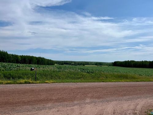 25350 Maple Ridge Rd, Mason WI  54856-1095 exterior